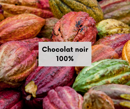 Chocolat fin de Madagascar - Noir 100 %