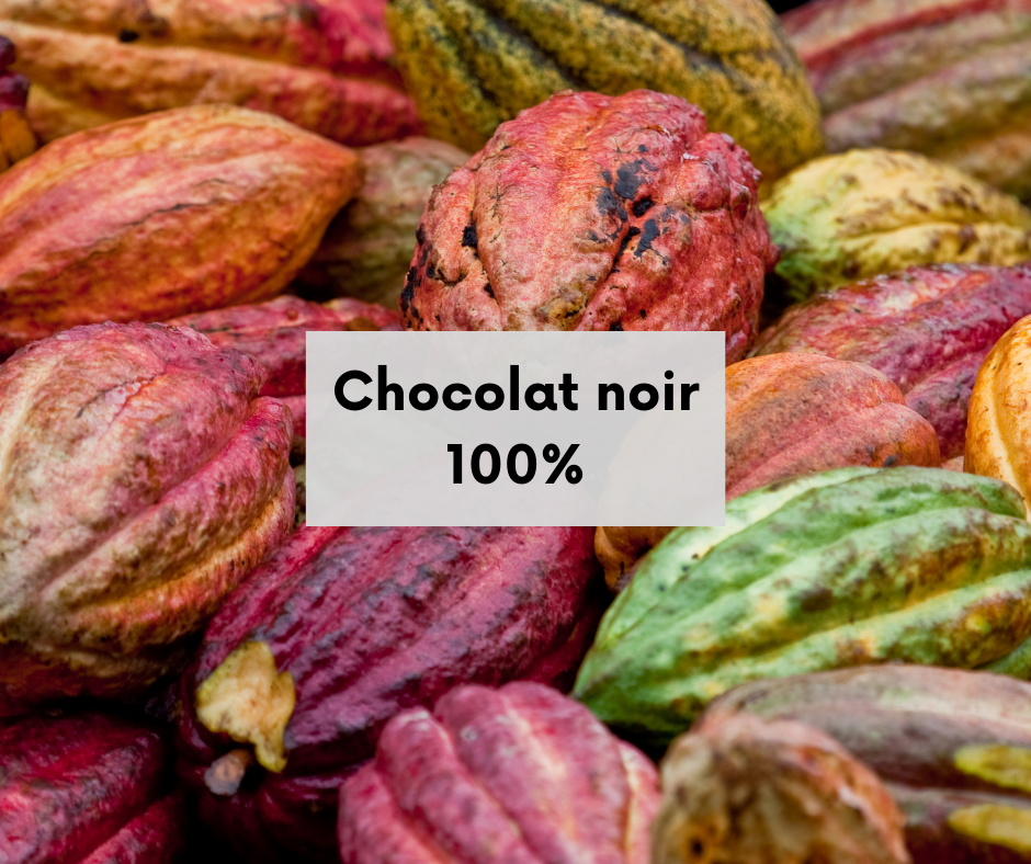 Chocolat fin de Madagascar - Noir 100 %